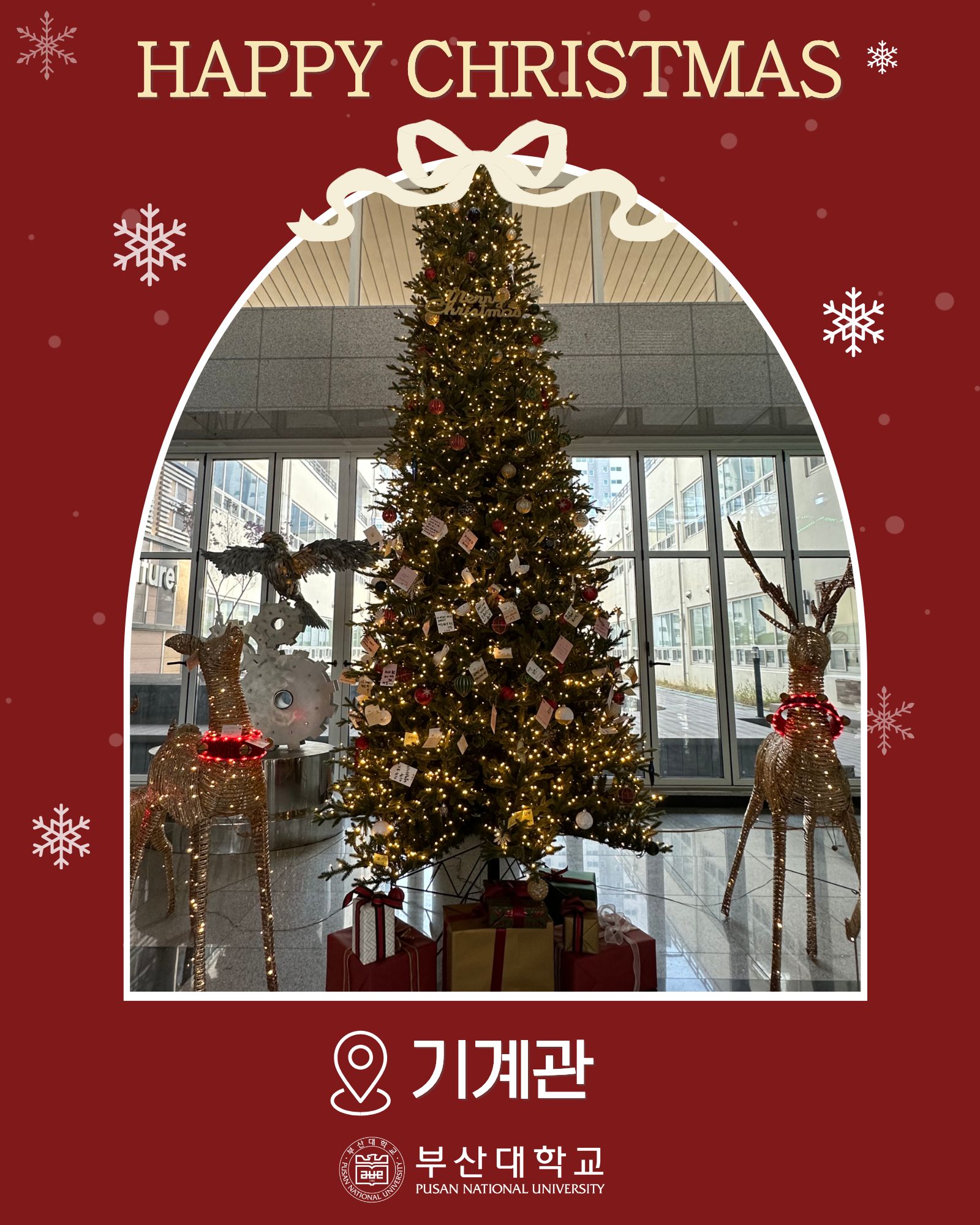 '[PNU_대학생활] 부산대 속 트리 모음.zip' 첨부파일 이미지, 상세내용은 아래내용 참고