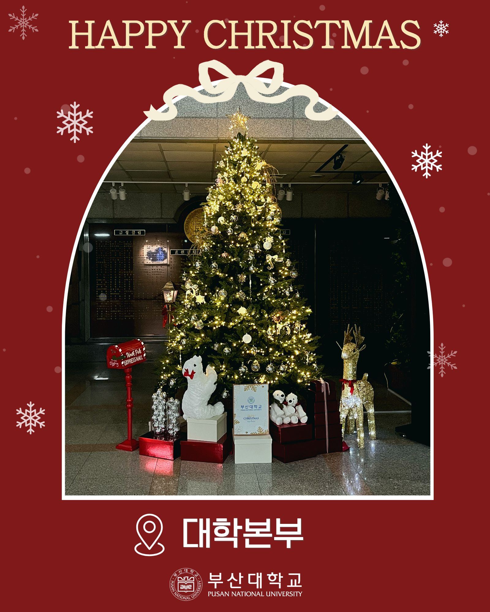 '[PNU_대학생활] 부산대 속 트리 모음.zip' 첨부파일 이미지, 상세내용은 아래내용 참고