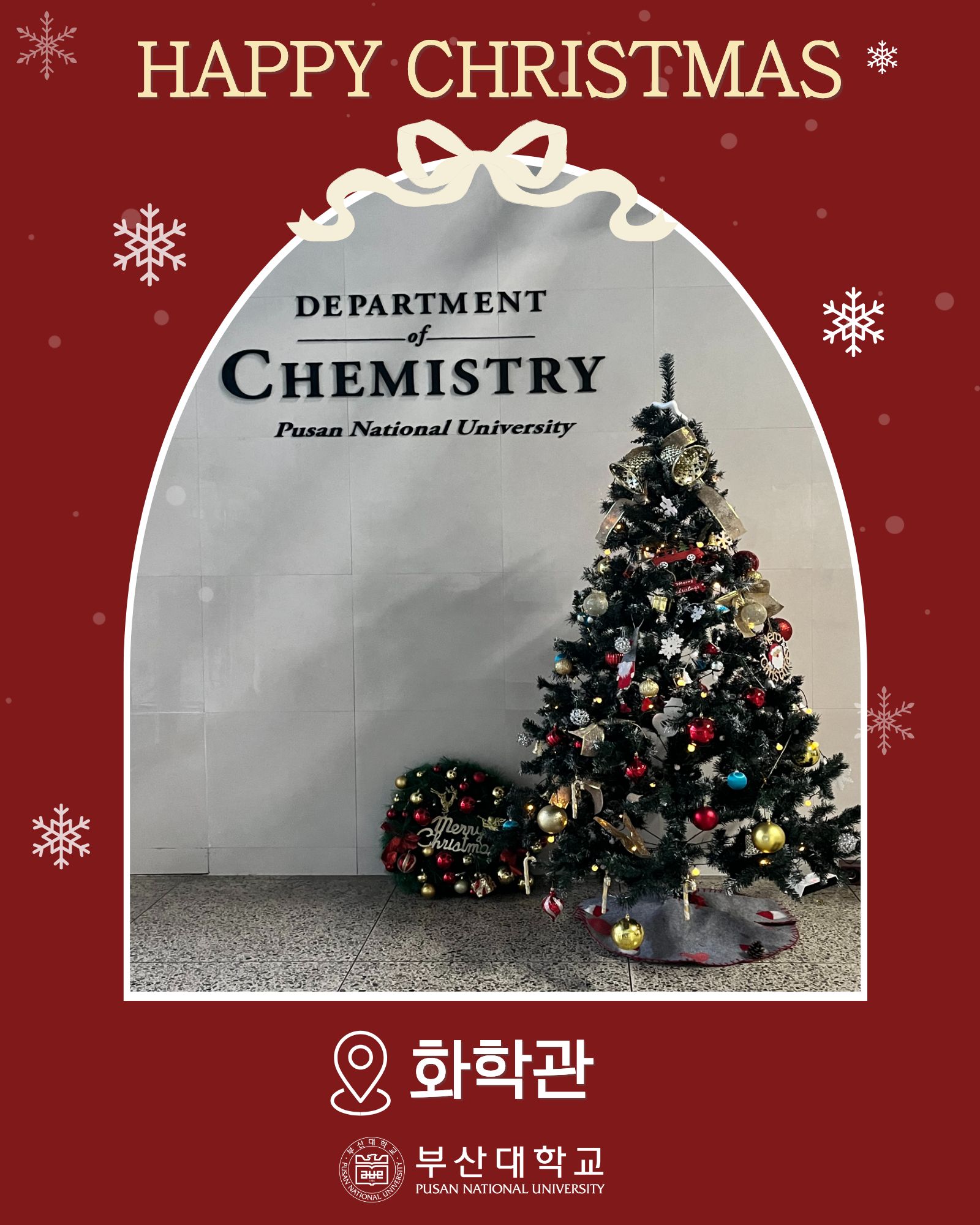 '[PNU_대학생활] 부산대 속 트리 모음.zip' 첨부파일 이미지, 상세내용은 아래내용 참고