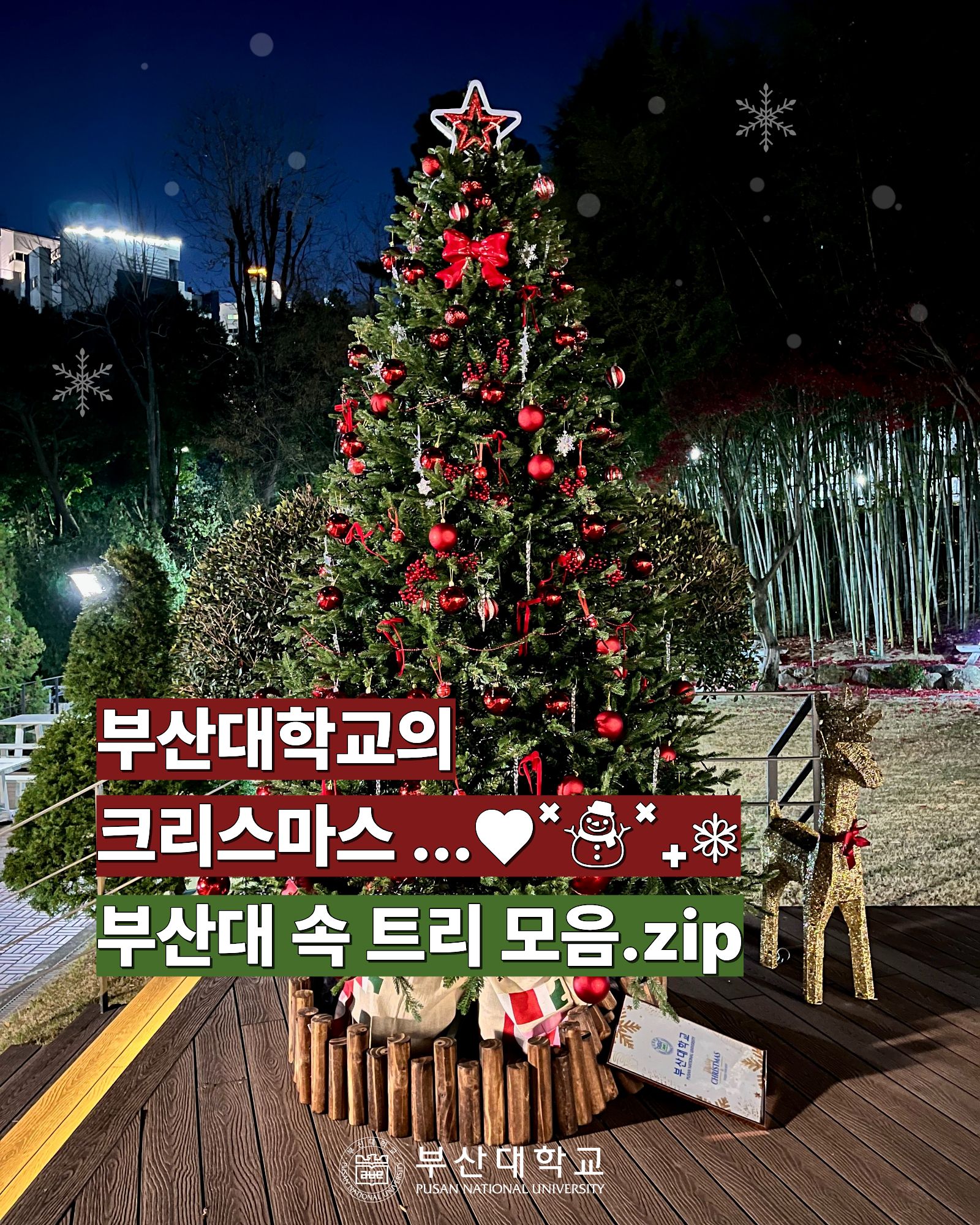 '[PNU_대학생활] 부산대 속 트리 모음.zip' 