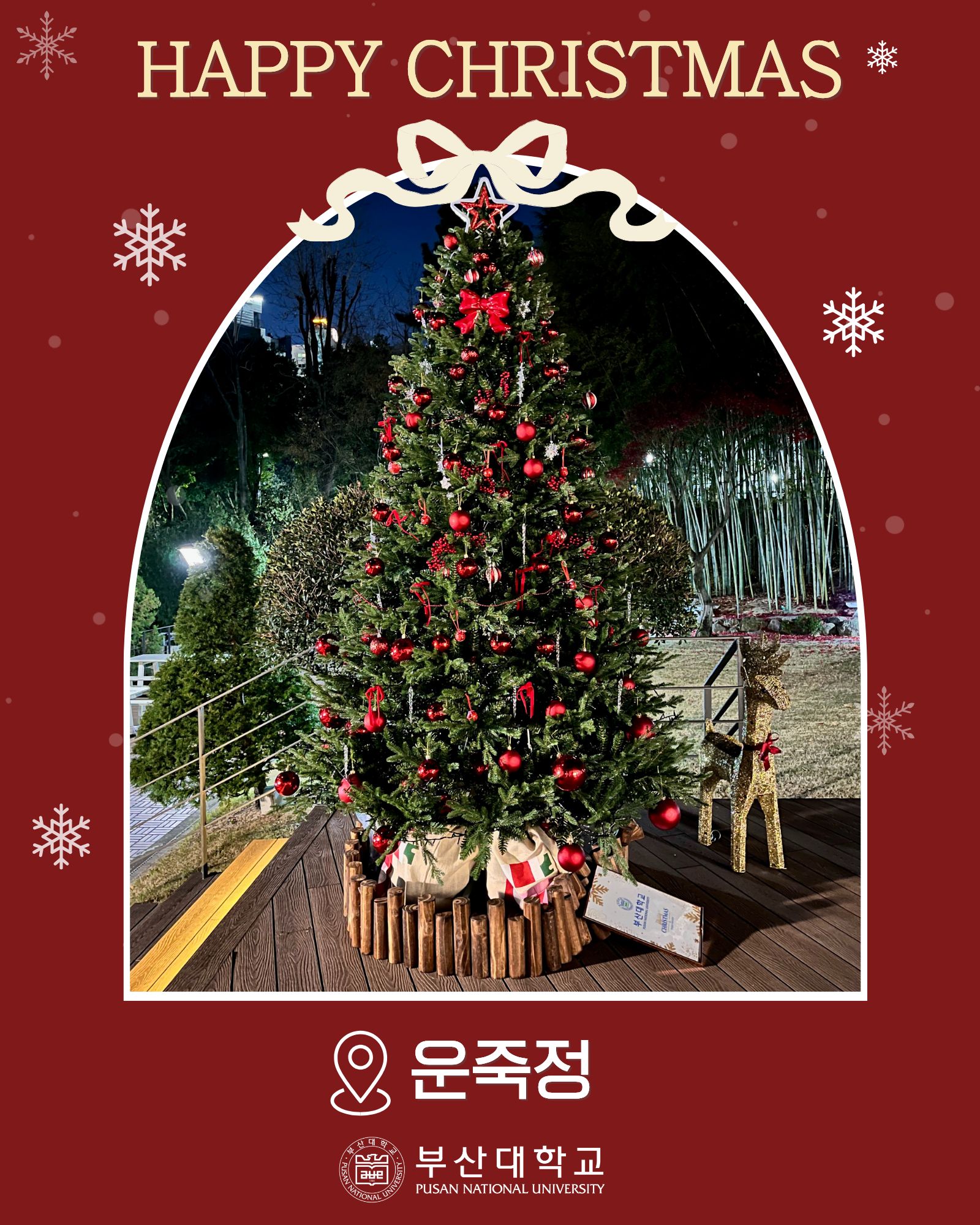 '[PNU_대학생활] 부산대 속 트리 모음.zip' 첨부파일 이미지, 상세내용은 아래내용 참고