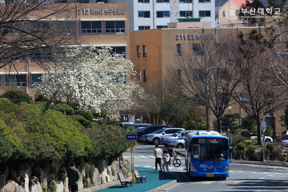 'Busan Campus'