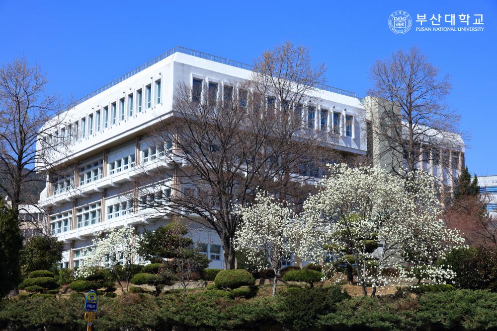 'Busan Campus'