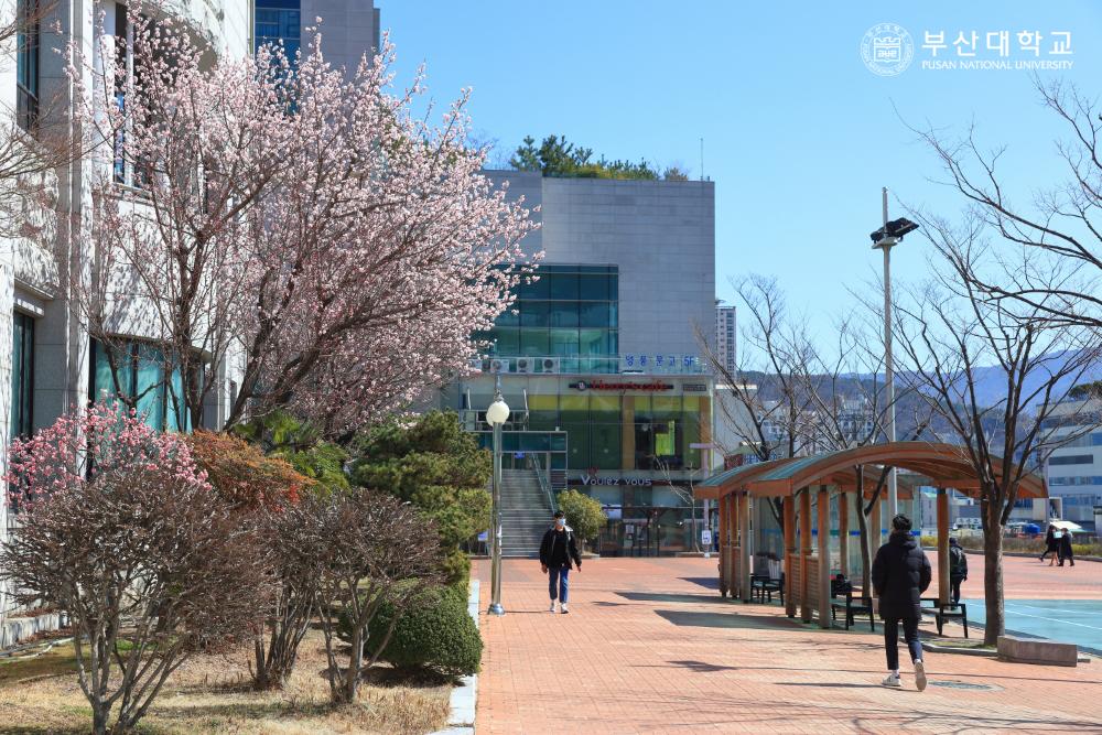 'Busan Campus'