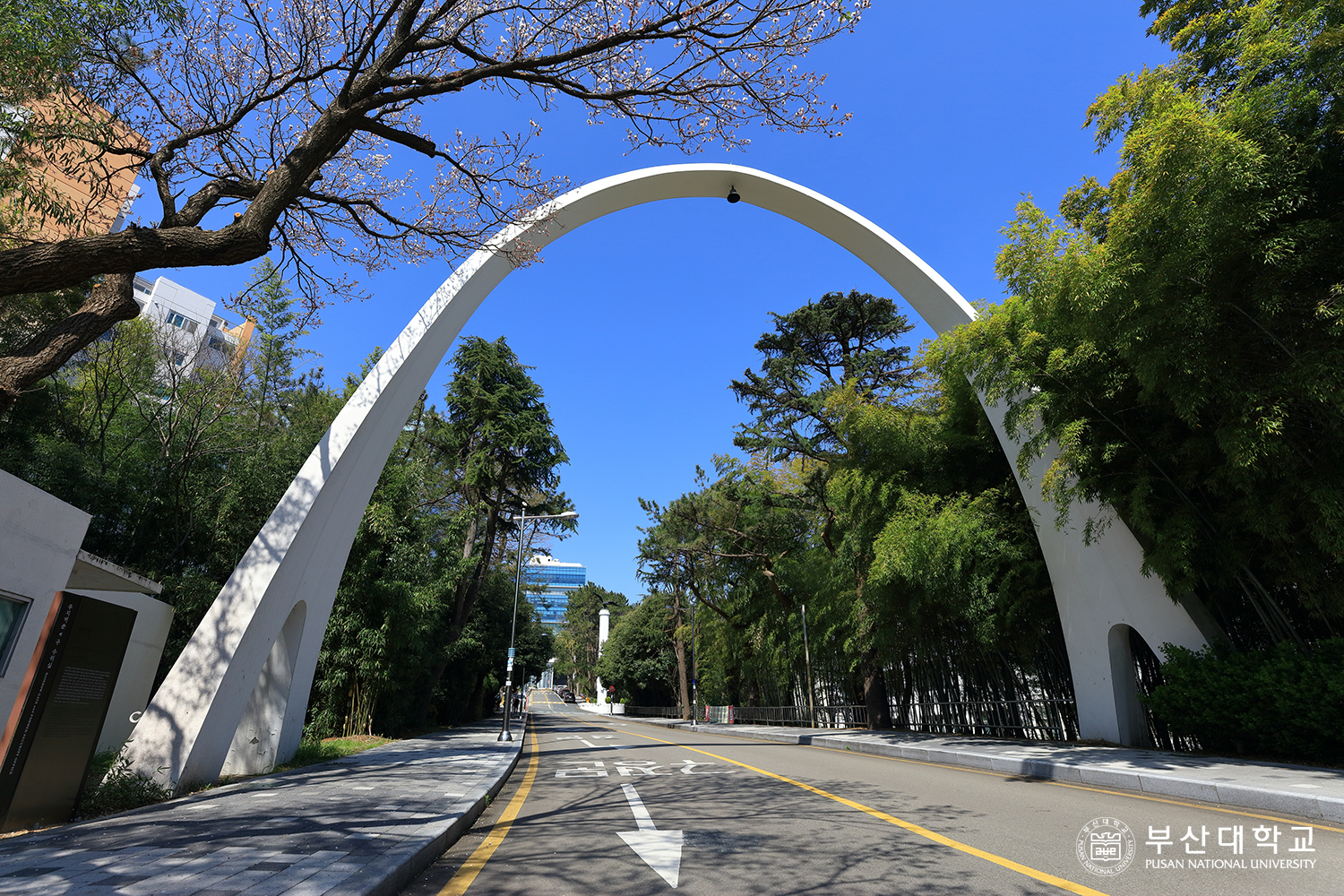 'Busan Campus'