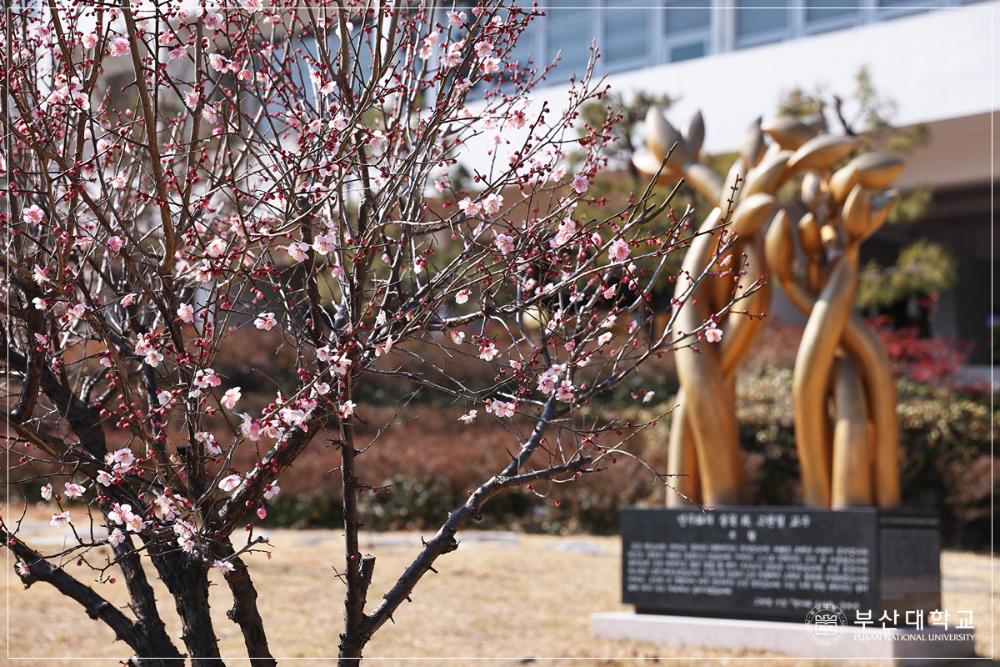 'Busan Campus '