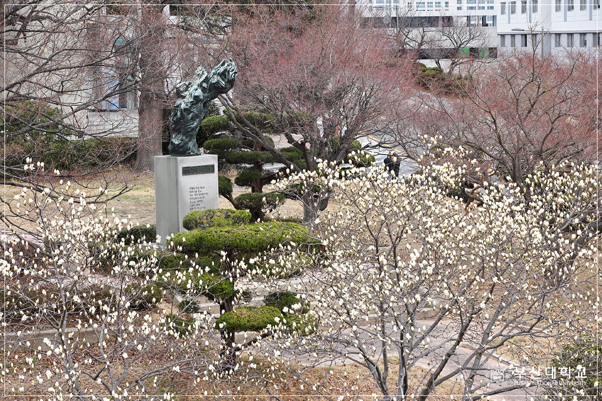 'Busan Campus '