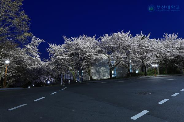 'Busan Campus '의 첨부파일 이미지