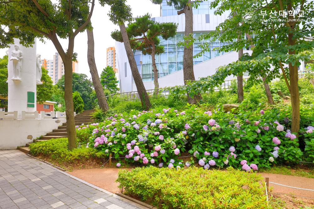 'Busan campus'